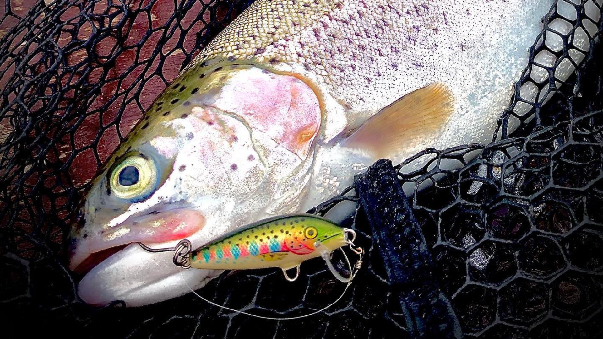Best Spoon & Spinner Lures For Catching Trout