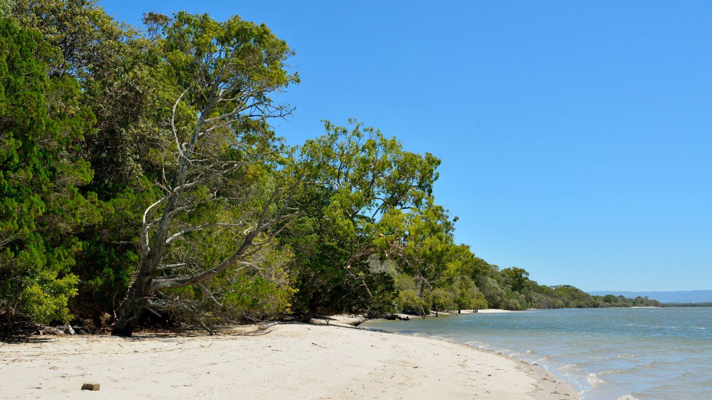 Mud Island Moreton Bay