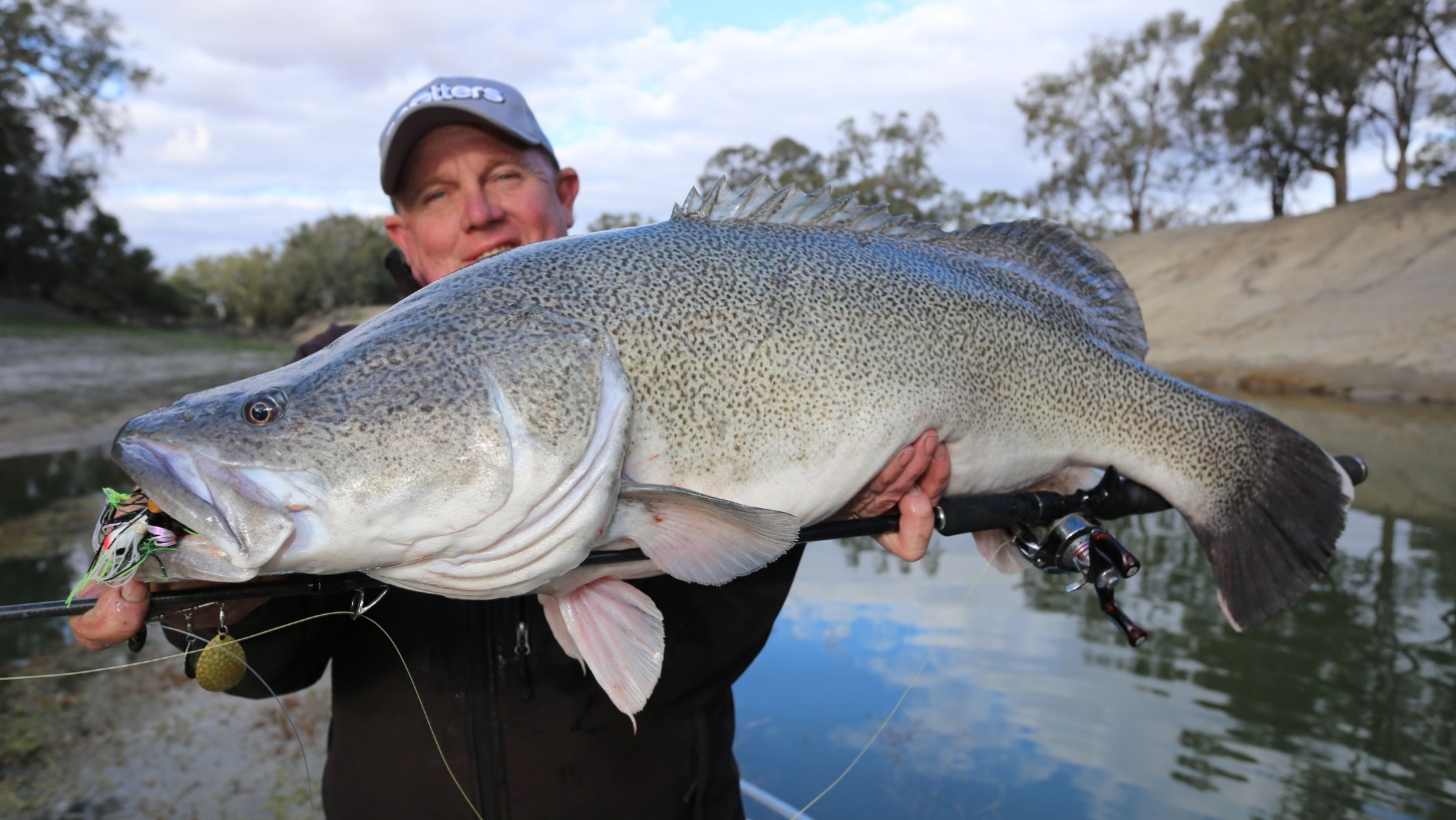 3 of the best fishing lures to catch a MONSTER Murray Cod
