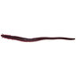 Berkley Gulp! Sandworm 6 Inch Lure Bloodworm