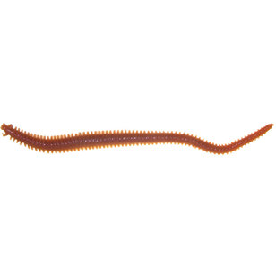 Berkley Gulp! Sandworm 6 Inch Lure Natural