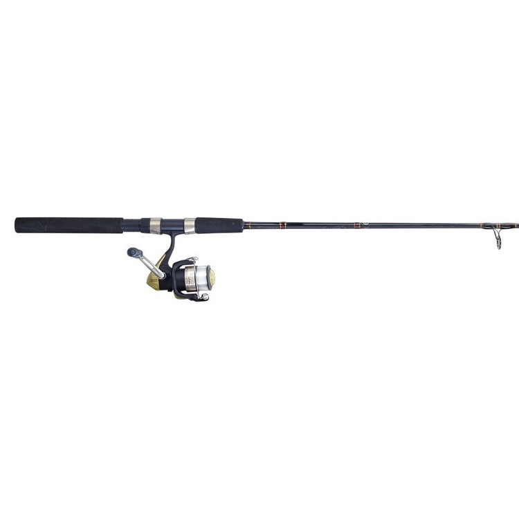 Shimano Eclipse 6'6" 4000 Spinning Combo