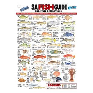 Australian Fishing Network State Fish ID Card South Australia