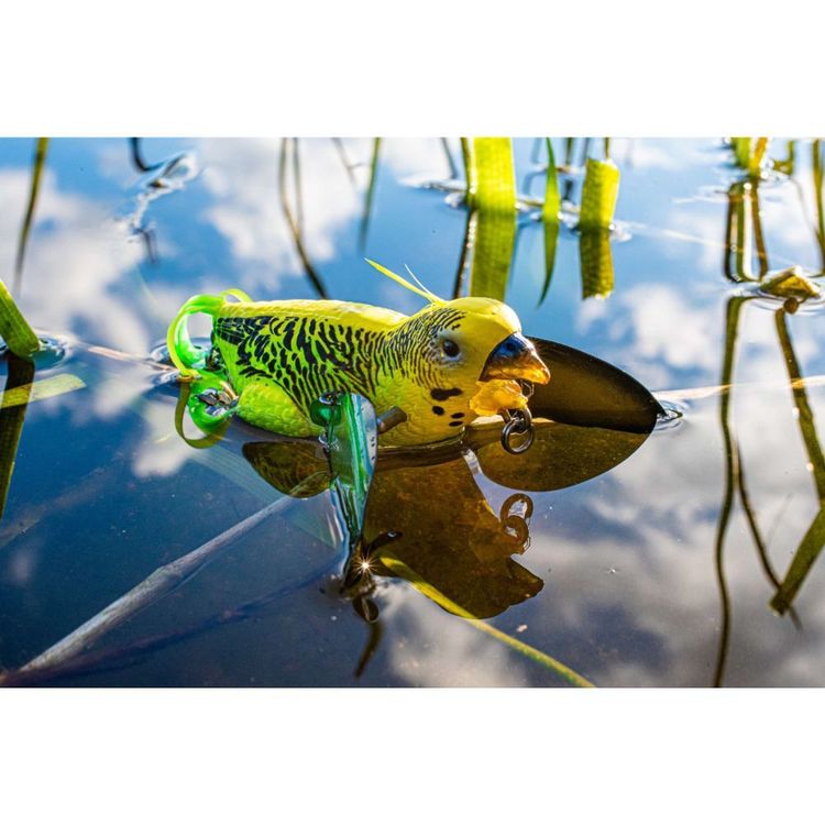 budgie fishing lure DINO Surface140" 140mm Surface CRAZY TOPWATER LURE! Will it