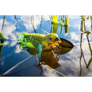 Chasebaits The Smuggler Surface Lure Budgie