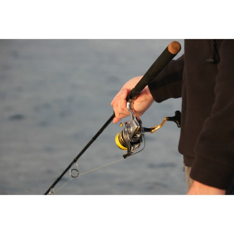 Shimano Sedona XT 7' 3-6 kg / 3000 Spinning Combo | Anaconda Shimano Sedona XT 7' 3-6 kg / 3000 Spinning Combo | Anaconda
