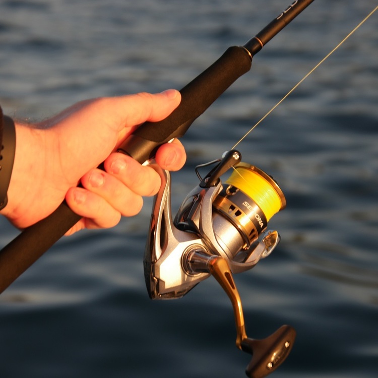 shimano catana rod anaconda Baitcaster Fishing Rods Tackle World Providing everything you need in a reel to get out and enjoy a day on the water Is it safe to order