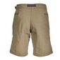The North Face Men's Paramount Trail Shorts Taupe Green