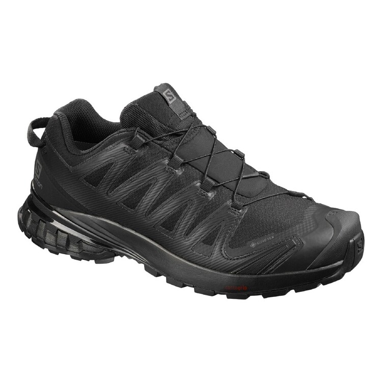 Salomon Men's Xa Pro 3D V8 Gore-Tex Low Hiking Shoes