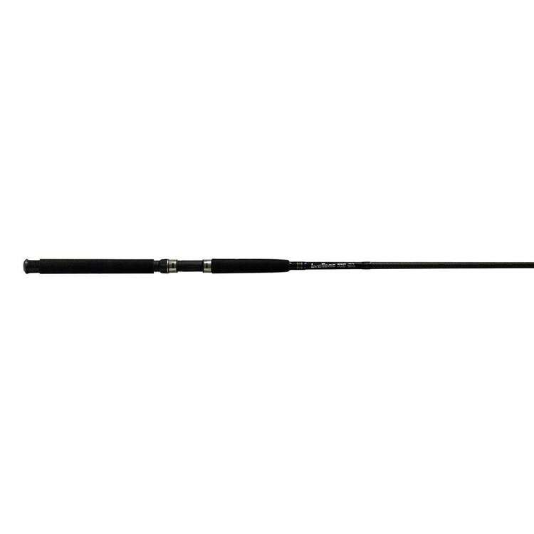 Wilson Surf Rods Wilson Love Fibre Champion Trophy 10'6