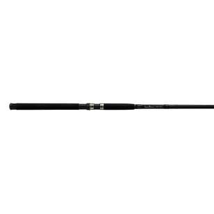 Wilson Surf Rods Wilson Love Fibre Champion Trophy 13'4