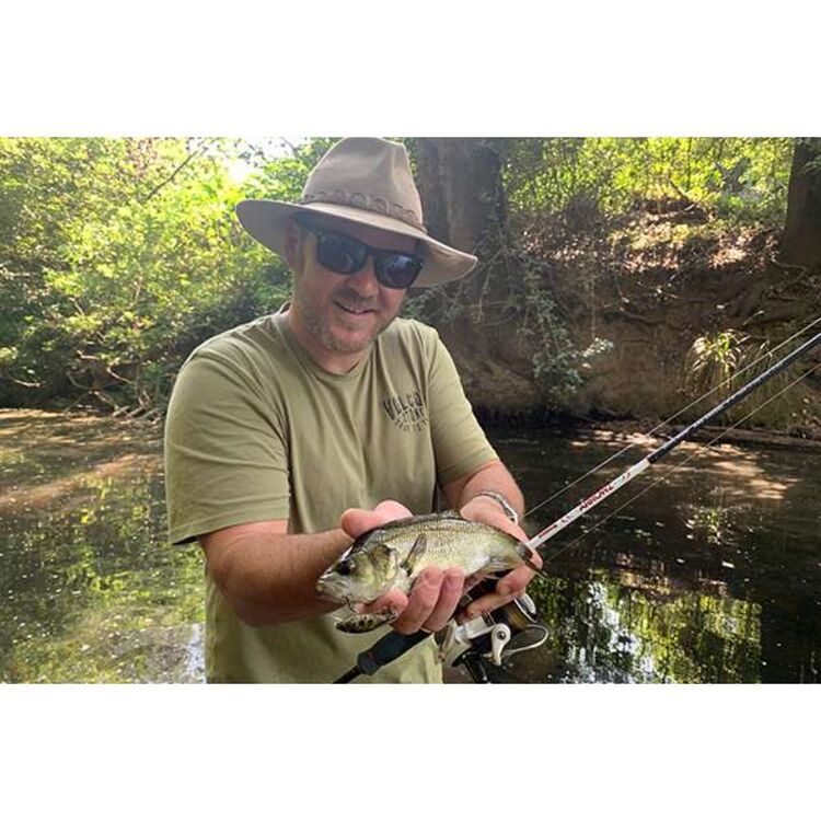 Atomic Arrowz Whiting Tip 7'6