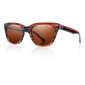 Tonic Flemingtonic Photochromic Sunglasses Shiny Tortoise & Copper Lens