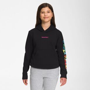 The North Face Girls' Camp Fleece Pullover Hoodie Shady Blue