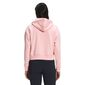 The North Face Women's Logo Play Hoodie Rose Tan