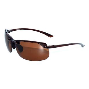Zenith Horatio Sunglasses with Revo Polarised Lenses Brown & Brown One Size Fits Most