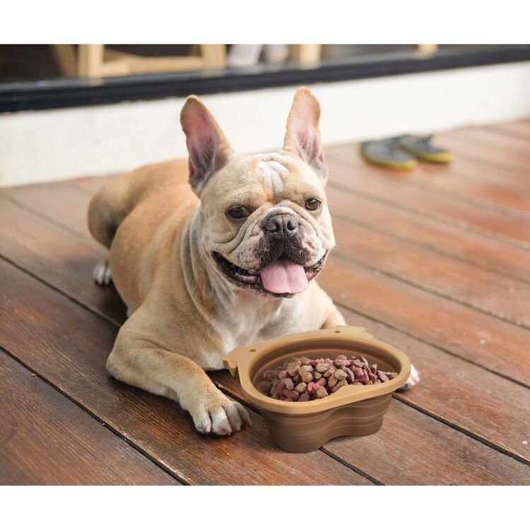 Howligans Collapsible Dog Bowl Brown