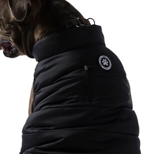 Cape Dog Puffer Jacket Black