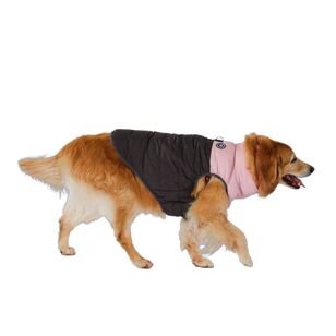 Cape Dog Puffer Jacket Charcoal & Sugar Pink