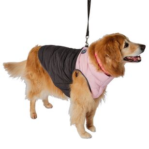 Cape Dog Puffer Jacket Charcoal & Sugar Pink