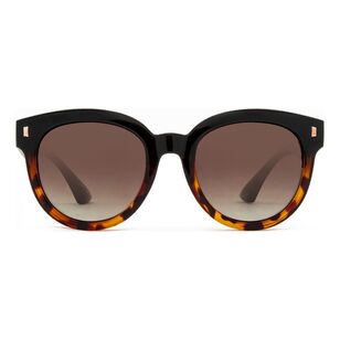 Carve Harpo Sunglasses Gloss Black Tort & Brown Gradient One Size Fits Most