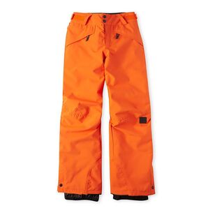 O'Neill Youth Boy's Anvil Snow Pants Orange
