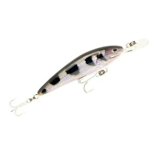 Raptor 4" Live Series Jack Snax Suspending Lure Arch Fish 4 in