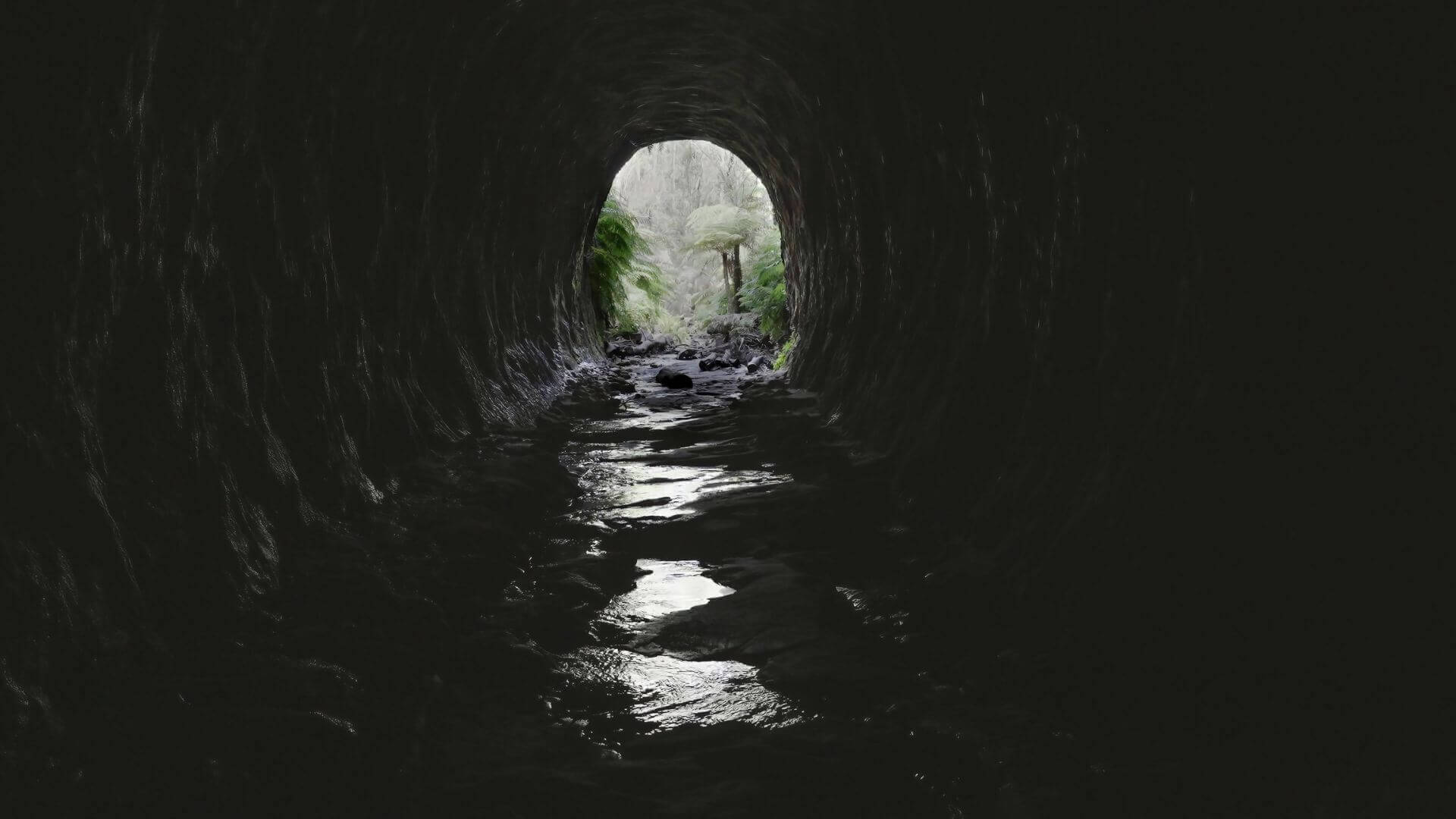 Glow Worm Tunnel, Wollemi National Park