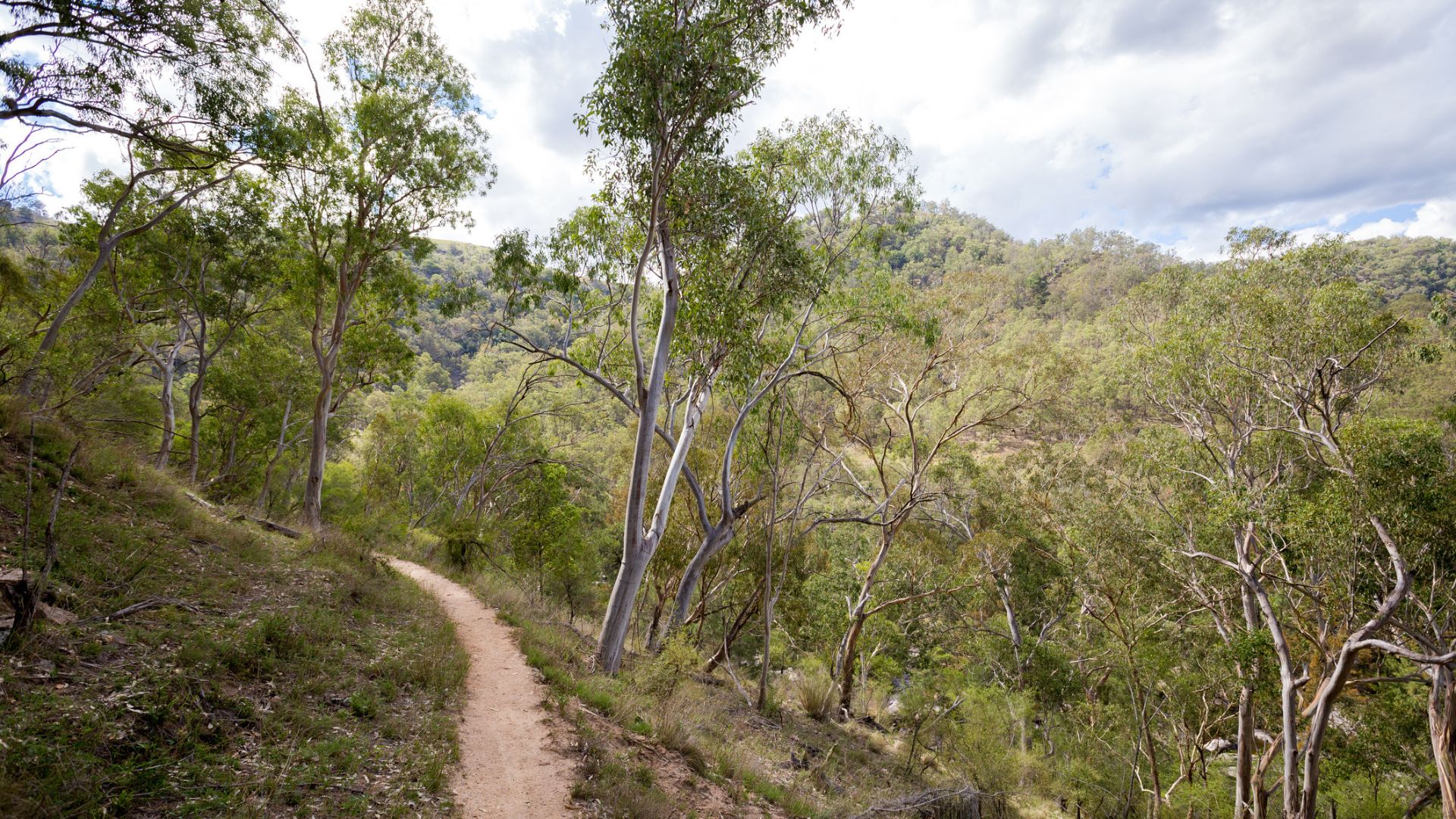 Six Foot Track, Blue Mountains National Park
