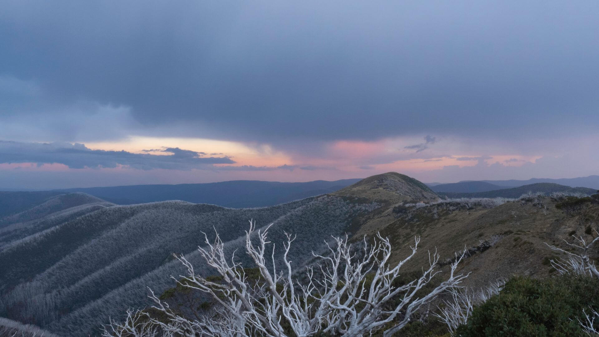 Camping & 4WD Guide to The Victorian High Country
