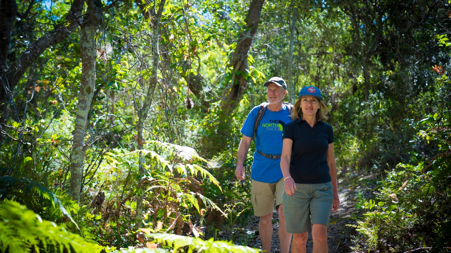 2 Hikers walking through a forest terrain path
