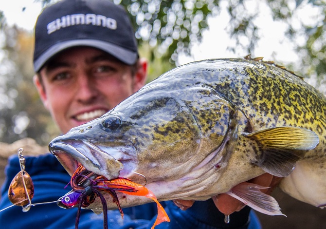 Guide To Murray Cod Success
