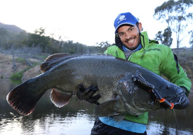 How to catch a MONSTER Murray Cod!
