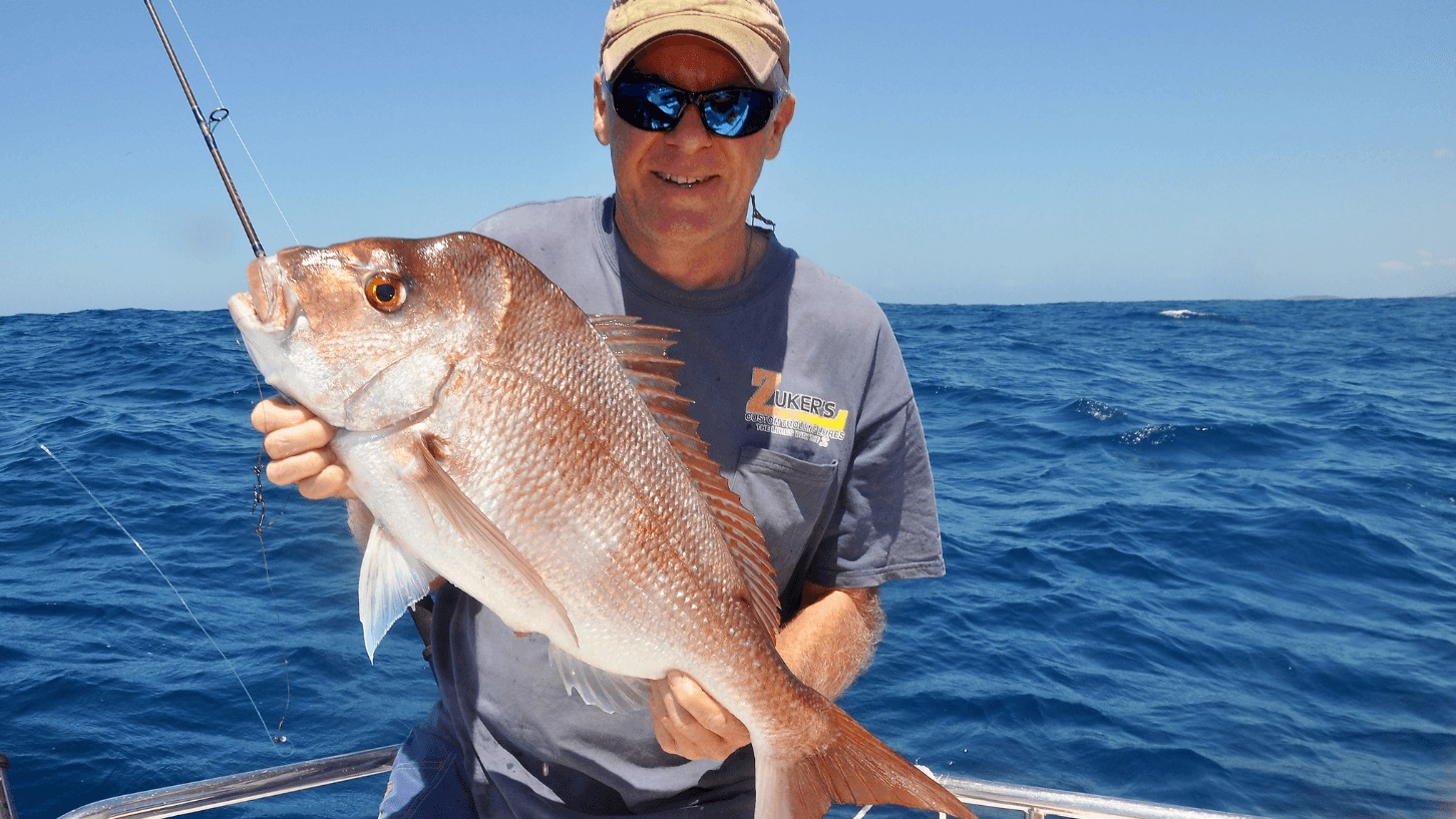 Snapper are available year-round