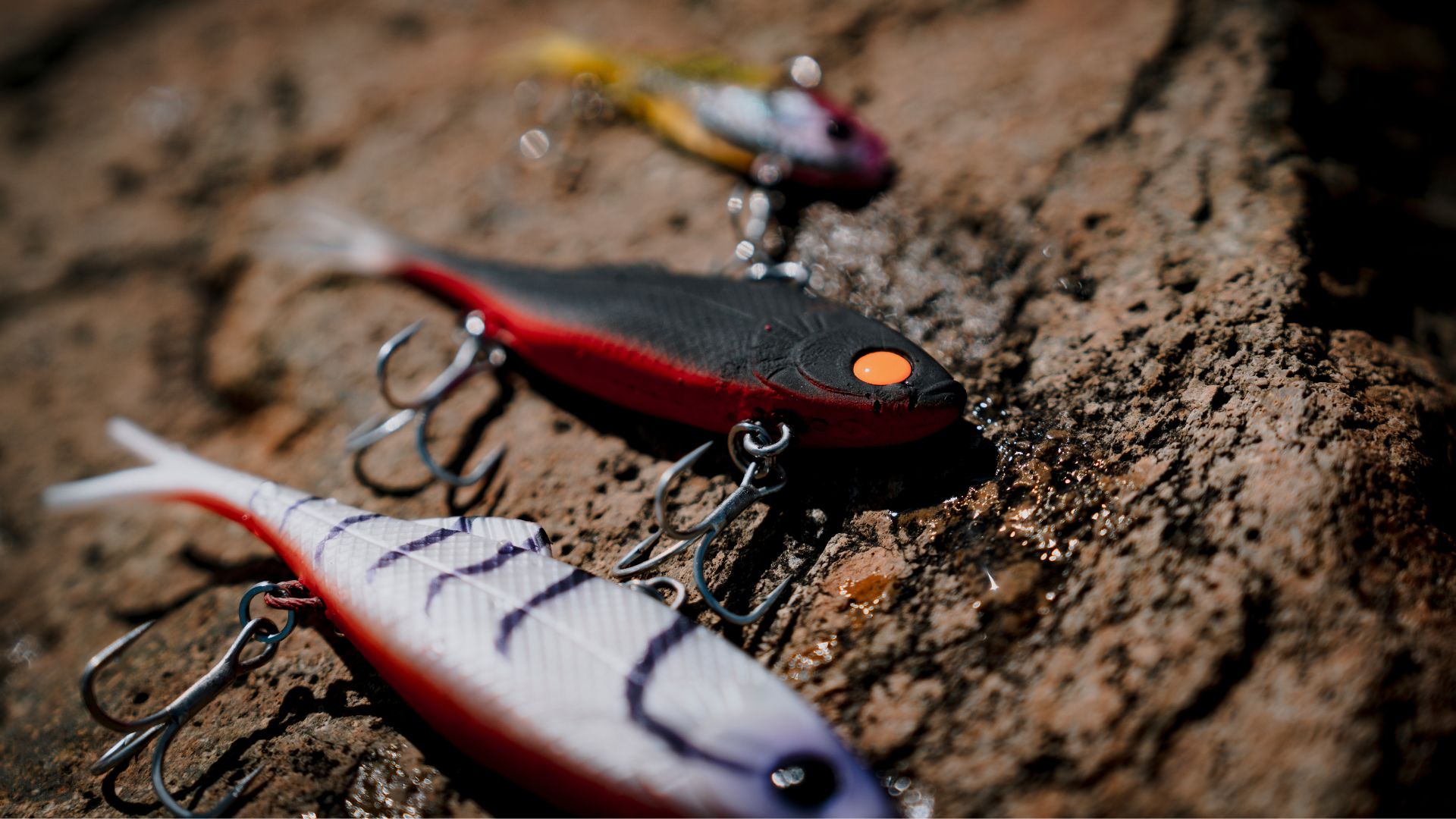 favourite lures for barramundi fishing Lure Pack Minnow Best Lures For Jewfish