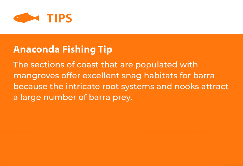 Anaconda Fishing Tip