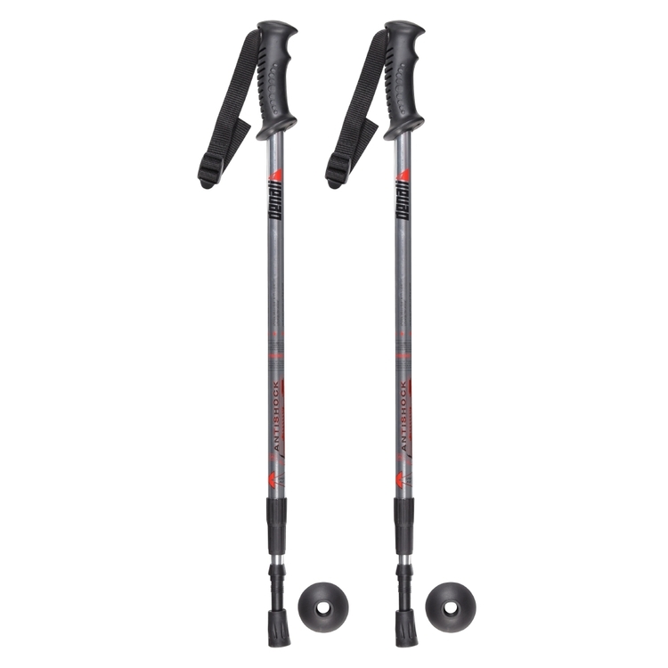 Denali Day Tripper Walking Poles