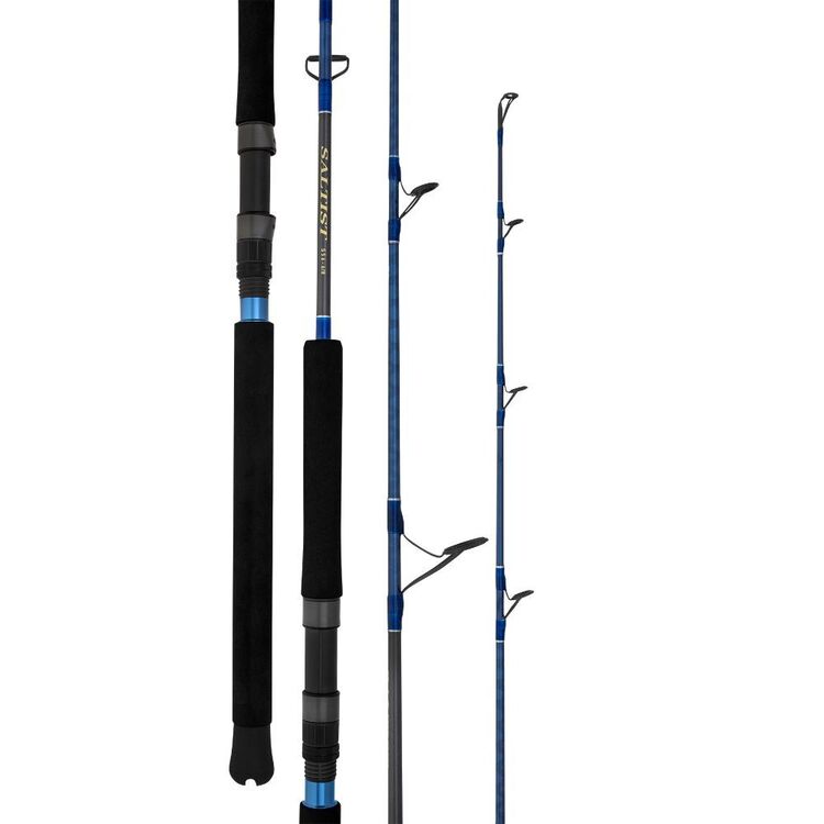 Daiwa 23 Saltist 8' 2pc PE6-8 Spin Rod Multicoloured