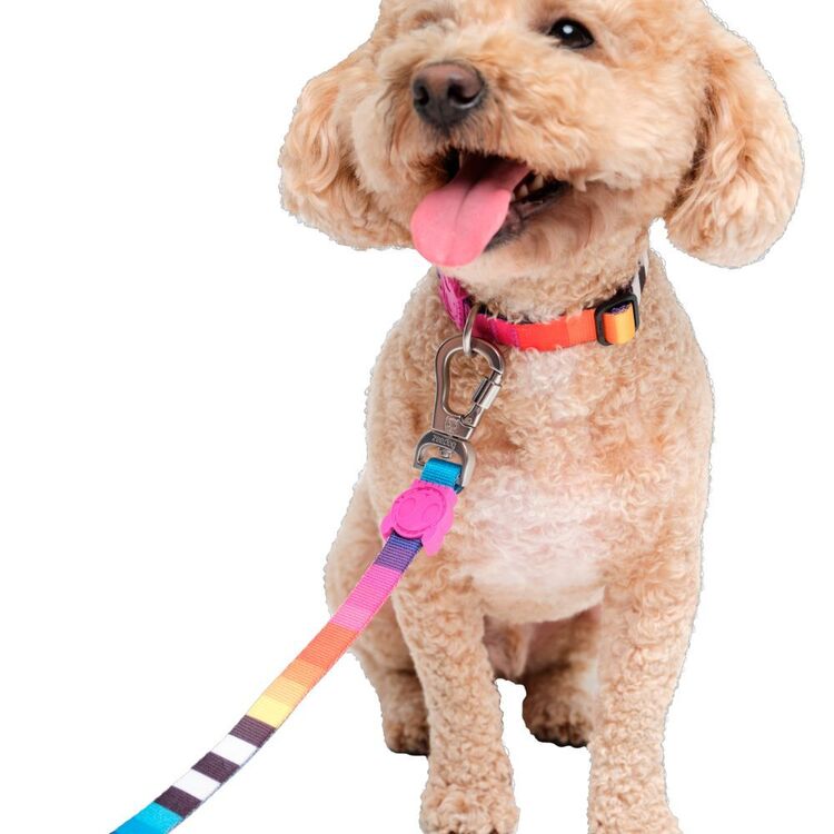 Small Prisma Leash Prisma