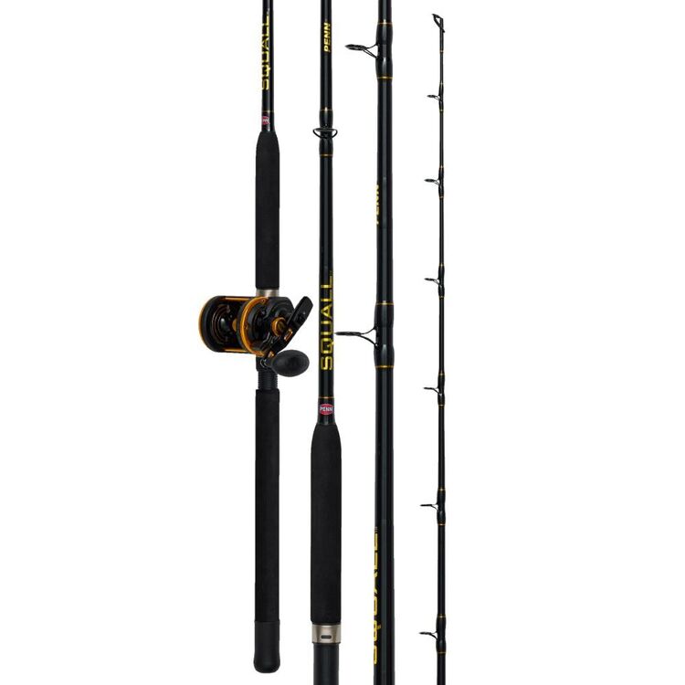 PENN Fishing Reels, Rods & Gear