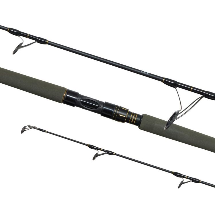 shimano 10-15kg spin rods TCurve Bluewater Rod TC10-15BWSP Shimano Speedmaster Shimano Vortex Piece