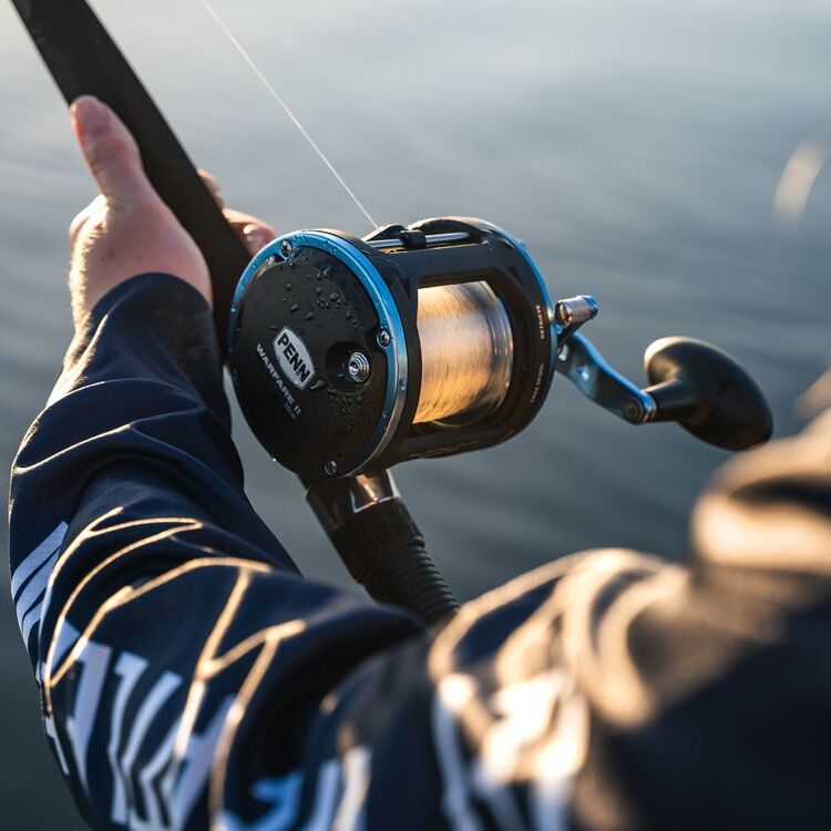 Penn Warfare II 6Ft 1Pc 20Lw 10-15kg Overhead Combo | Anaconda
