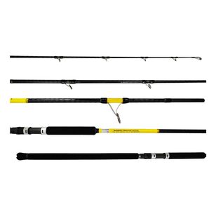 Mapheox Excalibur 2 Piece 10ft PE2-4 Surf Spiin Rod Natural 10 ft
