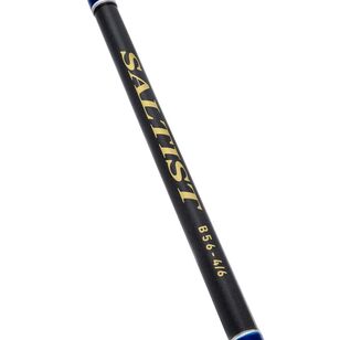 Daiwa 23 Saltist 5'6" 1pc PE3-4 Spin Rod