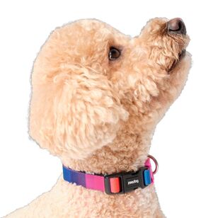 Zee.Dog Prisma Dog Collar Prisma S