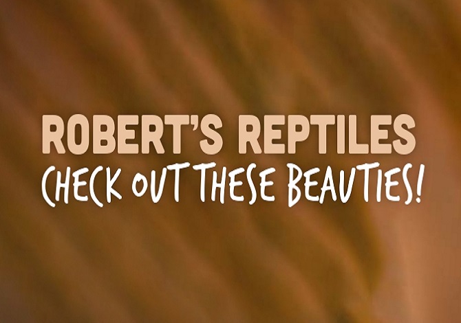 Robert's Reptiles