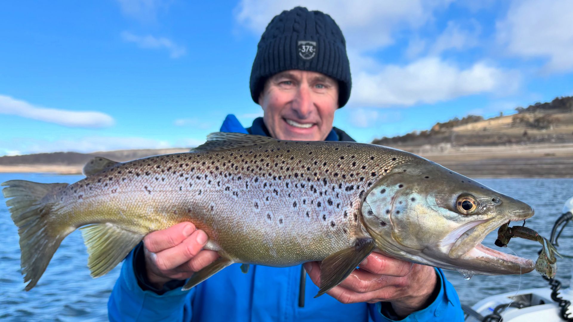 best trout lure australia Pack Best Trout Lures 2025 -