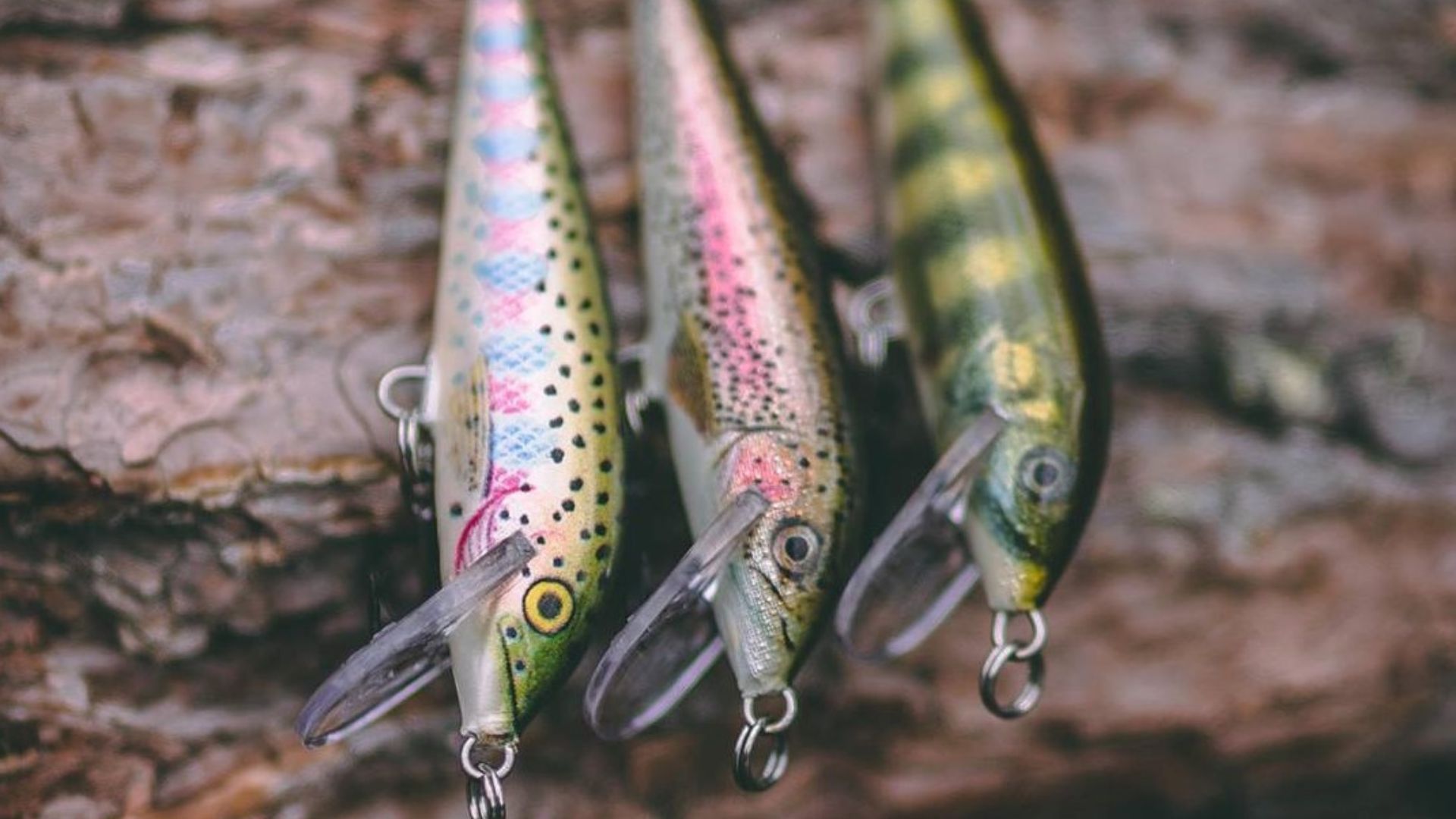Top 10 Lures For Trout
