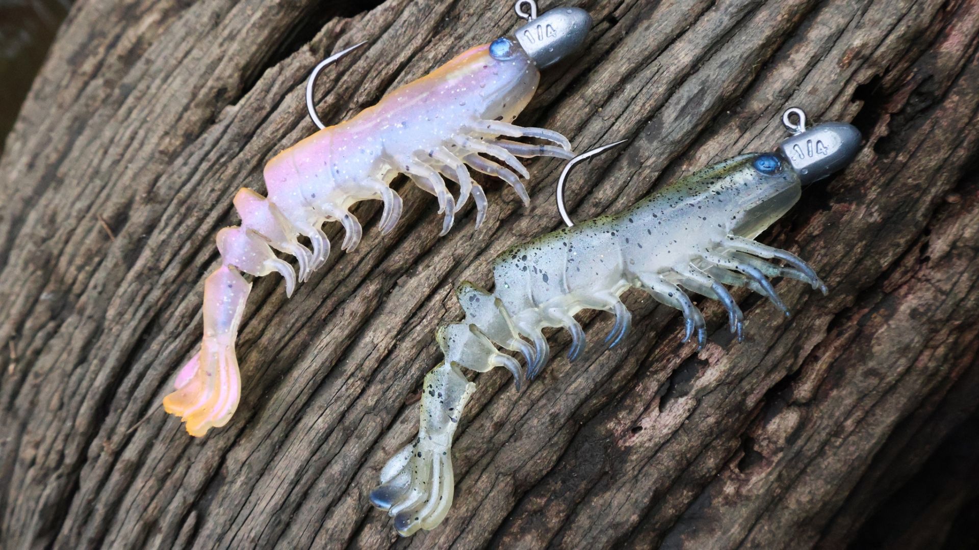 favourite lures for barramundi fishing Lure Pack Mundi Magnets essential lures