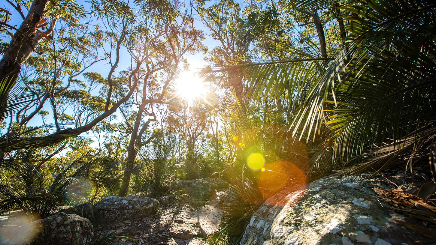Top five Easter camping locations around Sydney